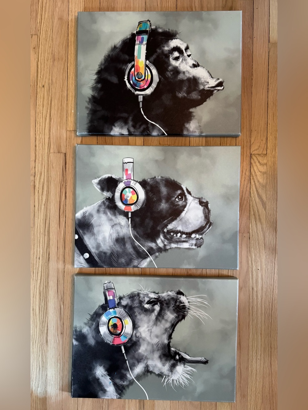 Set of 3 animal Portrait Canvases with Colorful Headphones 11.75 x 15.75 inches